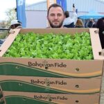 Kocaeli’de çiftçilere sebze fidesi desteği