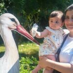 Ormanya’da yavru leylek Atlas’a sürpriz kutlama