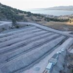 Dikili’ye modern hayvan bakımevi