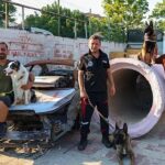 Maltepe Belediyesi patili kahramanları afetlere hazırlanıyor