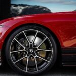 Pirelli, Goodwood’a P Zero Ailesiyle Damga Vuruyor