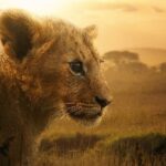 4 Bölümlük Belgesel Seri “Aslan Kralın Doğuşu” 19 ve 26 Ağustos Çarşamba Günleri 20.00’de İki Bölüm Art Arda National Geographic Ekranlarına Geliyor
