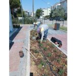 Didim Belediyesi Kendi Üretimiyle Kenti Güzelleştiriyor