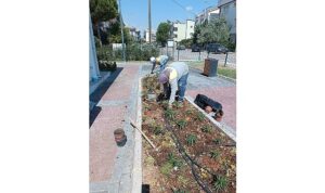 Didim Belediyesi Kendi Üretimiyle Kenti Güzelleştiriyor