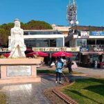 Didim Belediyesi Yeşil Alanlarda Bakım ve Düzenleme Çalışmalarını Sürdürüyor