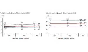 Dönemsel İşgücü İstatistikleri, II. Çeyrek: Nisan-Haziran, 2026