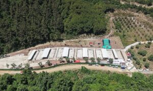 Gemlik’te Barınak Ziyaretçilere Hep Açık