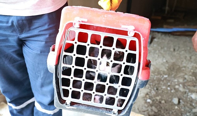 Kaçak Bina Yıkımında Hayat Kurtaran Müdahale