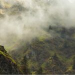 4 Bölümden Oluşan ‘Vahşi Karpatlar’,   26 Eylül Cumartesi Saat 20.00’de Art Arda Tüm Bölümleriyle National Geographic WILD Ekranlarında!