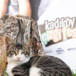 7. Kadıköy Çizgi Festivali Başlıyor