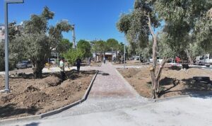 Başkan Hatice Gençay’ın Seçim Vaatleri Arasında Yer Alan Zeytin Park, Didim’in Yeni Yaşam Alanlarından Biri Olmaya Hazırlanıyor