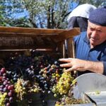Büyükşehir’den üzüm üreticilerine makine desteği