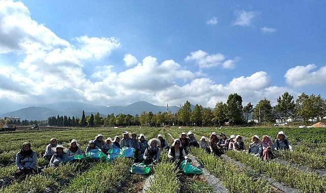 TABİP’te üretimden markalaşmaya uzanan hasat