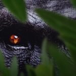 7 Bölümden Oluşan ‘Afrika: Vahşi Yuvamız’,   3 ve 4 Ekim Cumartesi/Pazar Günleri 15.15’te Art Arda Bölümlerle National Geographic’te İzleyicilerle Buluşuyor