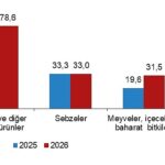 Bitkisel Üretim 2.Tahmini, 2026