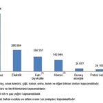 Hanehalkı Nihai Enerji Tüketim İstatistikleri, 2025
