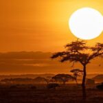 National Geographic NOW Seç-İzle Servisinin Ekim Ayı Teması ‘Afrika’!